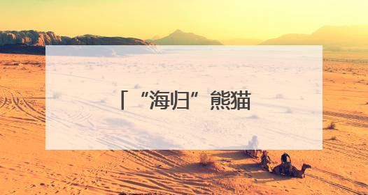 “海归”熊猫，温州亮相